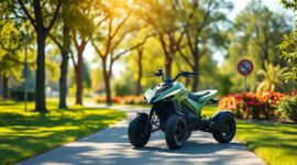 Elektrische vierwielfietsen: comfort en plezier voor iedereen