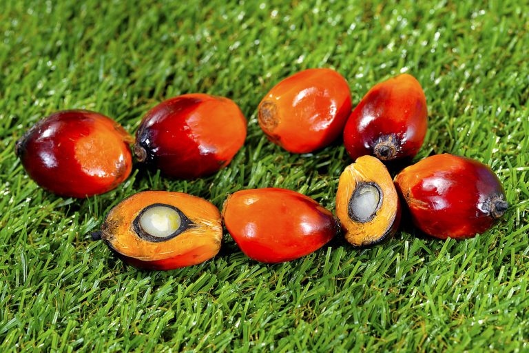 Palm oil facts: alles wat je moet weten over (duurzame) palmolie 