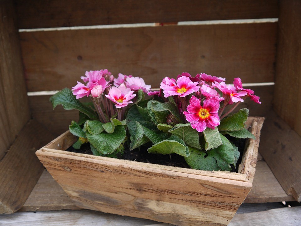 Neem een houten bloembak als je je tuin wil opleuken!