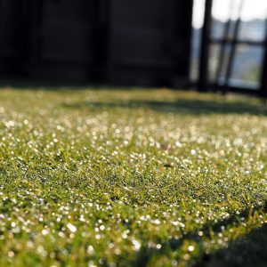 Kunstgras in de tuin