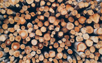 Speciale soorten hout aanschaffen, waar kun je terecht?