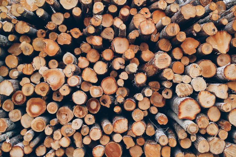 Speciale soorten hout aanschaffen, waar kun je terecht?