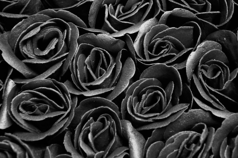 Nieuwe trend: zwarte rozen kopen