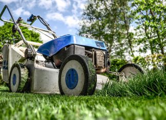 Tijd om de tuin onder handen te nemen