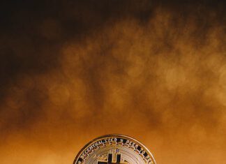 Hoe je eenvoudig de koers van Bitcoin en Dogecoin in de gaten houdt