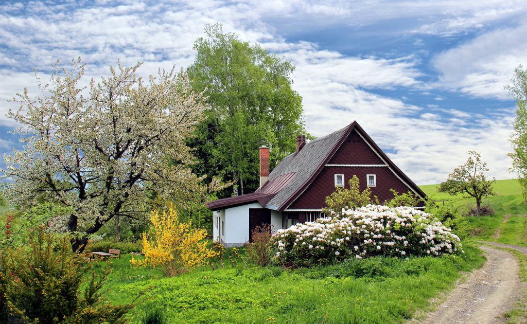 tuinontwerp in Aalsmeer